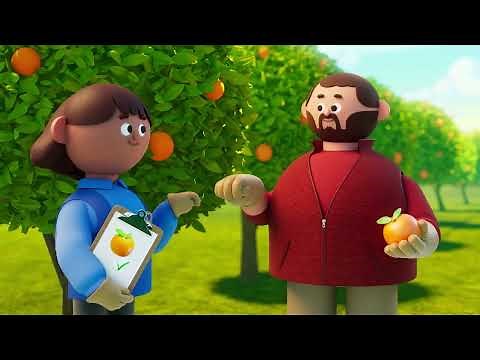 Kroger Fresh Citrus | Kroger