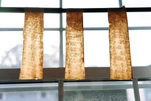 How to Make Your Own Fly Paper