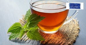 13 Tea MLM Business Opportunities To Pour Into That Downline Pot | Make That Sea Change