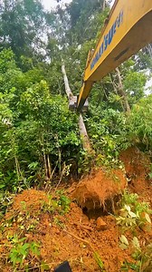Wood tree felling technique #excavator #alatberat | Baskoro Doewank