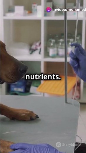 The Science of Osmosis: Cellular Function and Real-Life Examples #Osmosis #Biology