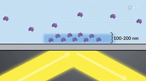 Video: Total Internal Reflection Fluorescence Microscopy