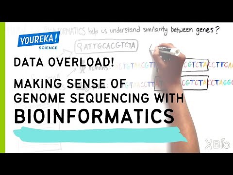 Data Overload! Making Sense of Genome Sequencing with Bioinformatics
