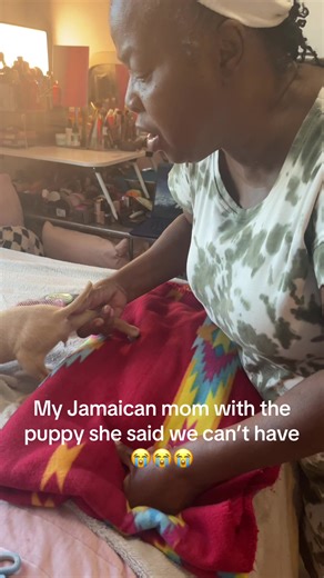 My life is a movie 😭😭😭😭 #jamaicanmom #jamaicanmomsbelike #funnymoments #newpuppy