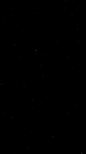 Tony Tony Chopper Song Lyrics Compilation