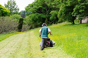 5 Best Walk Behind String Trimmer Reviews (December 2025)