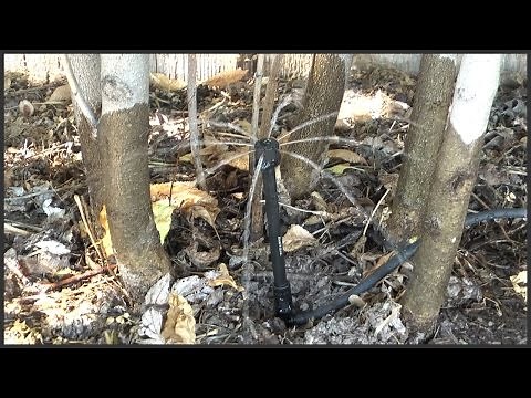 Drip Line Installation