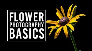 9.6K views · 91 reactions | Do you enjoy taking photos of flowers? We put together some simple tips that can take your flower photography to the next level. Show us what you create in the comments below! | B&H Photo Video Pro Audio | Facebook