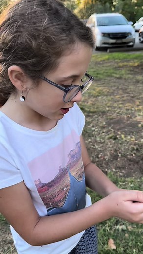 Fascinating Insect Facts: Earwigs, Spiders, Butterflies, and More!