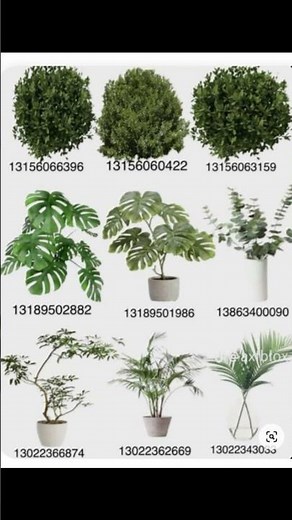 Bloxburg plant decals codes off Pinterest | PART2 | Not mine
