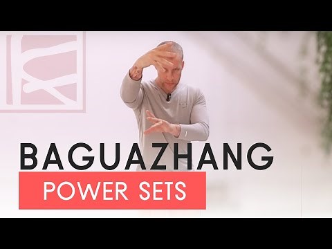 BAGUAZHANG KUNG FU | Power Training Sets