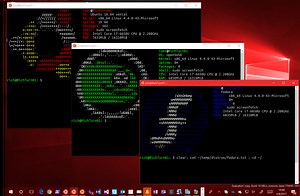 Install Macos On Windows Subsystem For Linux