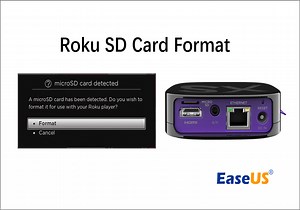 How to Choose and Set the Roku SD Card Format [2025 Best Ways]