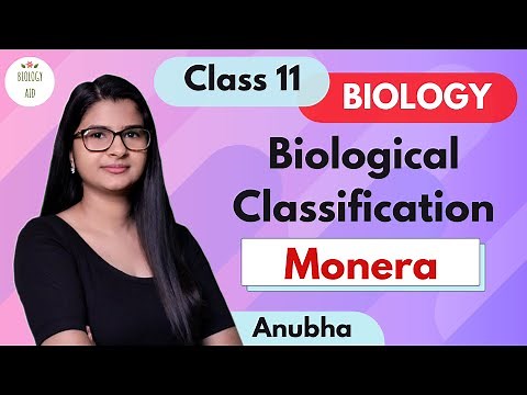 Class 11 || Kingdom Monera || NCERT
