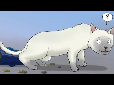 Cat Transformation (sequence)