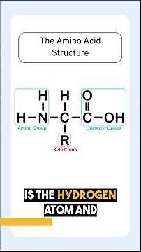 Intro: The 20 Amino Acids 🧫 🧬 #science