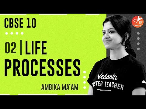 Life Processes | Respiration | CBSE Class 10 Biology | Vedantu 9 and 10 English