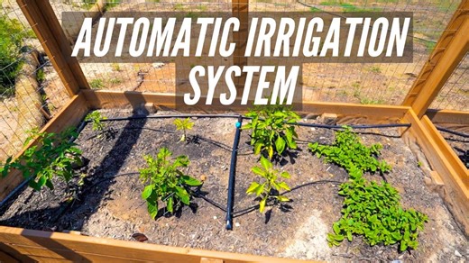 Easy DIY drip system for garden irrigation
