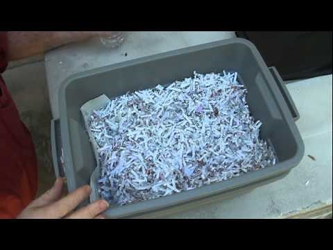 Raising Earthworms Indoors