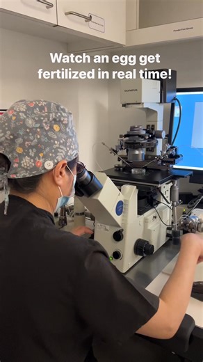 1K views | Watch an egg get fertilized in real time—one of the most extraordinary moments in the IVF lab! This is what a fertilization looks like inside the lab: a single sperm entering the egg, marking the very start of embryo development. 溺✨ #Fertilization #IVFJourney #Embryology #ICSI #CHR | Center for Human Reproduction | Facebook