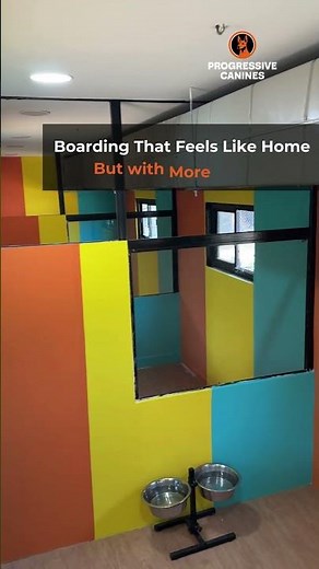 The Ultimate Dog Boarding Experience – Where Comfort Meets Care!