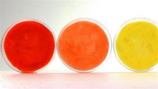 Korean team uses bacteria to spin rainbow-hued, eco-friendly textiles