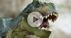 How did dinosaurs go extinct? - Morgridge Institute for Research