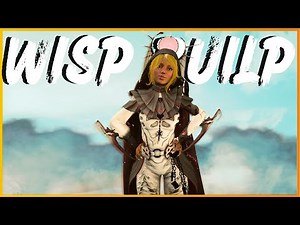 The BEST General Use Steel Path Wisp Build