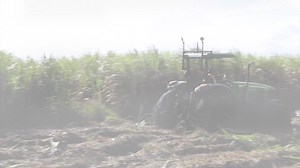 51K views · 499 reactions | Agriculture Minister stripped of Sugar Industry One of those CEO’s that is staying put is Sevulo Baeza in the Ministry of Agriculture, Food Security & Enterprise. But, he’ll have a lot less to do - because - without any announcement being made via official means - his minister lost a big chunk of his portfolio. Jules Vasquez reports: Mai could not be reached for comment today. | 7 News Belize | Facebook