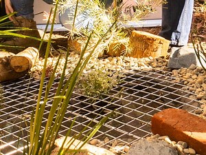 How to build a frog pond - Bunnings Australia