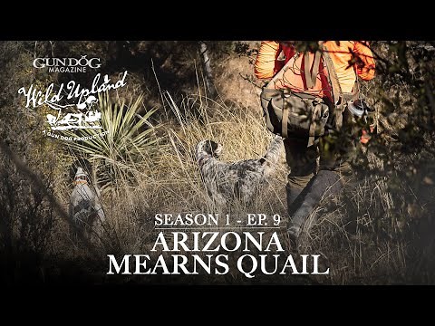 Arizona Mearns Quail-Wild Upland Season 1 Ep. 9