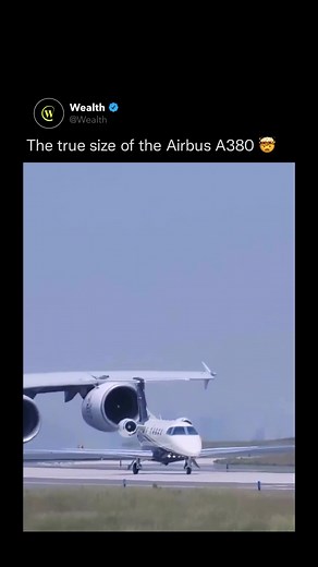 As the world’s largest and most spacious passenger aircraft, the cabin of the Airbus A380 allows travelers to stretch out in a calm and relaxing environment. With the freedom it gives passengers to move about the aircraft, it’s no surprise that the A380 is a favorite in all cabin classes. Video: @the_binge_traveler/IG #airbus #plane #travel #facts