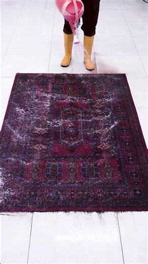 Deep Carpet Cleaning That Looks Brand New
