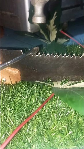 How to Sharpen a Wood Saw Blade the Easy Way — No Power Tools!"💕