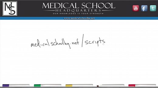 Prescription Writing 101 (with Example Prescriptions)