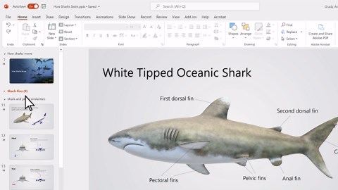 Organize your PowerPoint slides into sections
