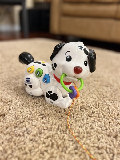 Watch VTech pull and sign puppy for toddler on Amazon Live