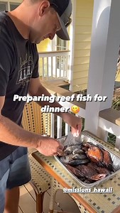 Vortex Optics on Reels