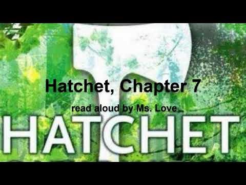 Hatchet, by Gary Paulsen, Chapter 7