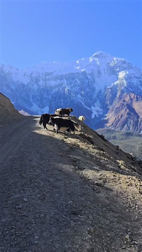 Exploring the Himalayan Mountain View