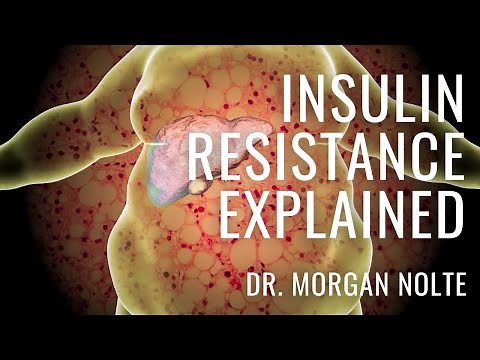 What is Insulin Resistance and Why Does It Occur? (causes, symptoms, testing, treatment)