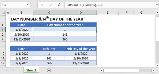 Day Number of the Year - Formula for Excel or Google Sheets