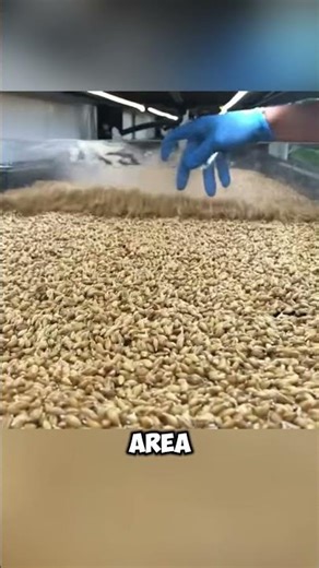 Daily Fresh Feed: The New Favorite for Animals!