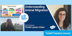 KS2 (Ages 7-11) Animal Migration Video Lesson