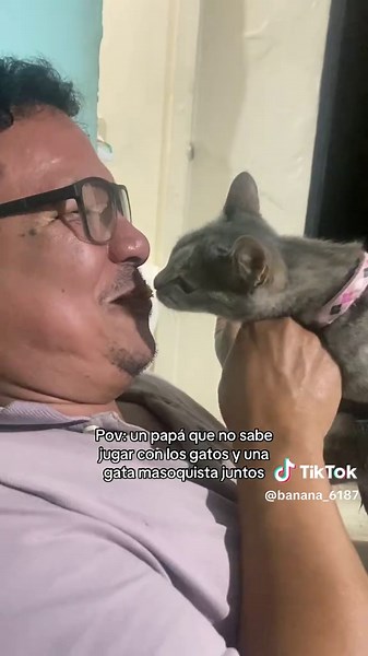 Un Papa y Sus Mascotas: Momentos Divertidos
