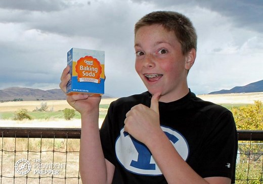 Baking Soda: The Smart Prepper’s Secret Problem Solver - The Provident Prepper