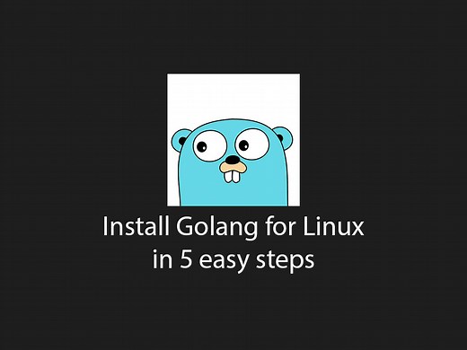 How to install Golang via Linux terminal in 5 easy steps