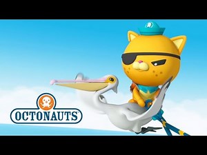 Octonauts: World Oceans Day