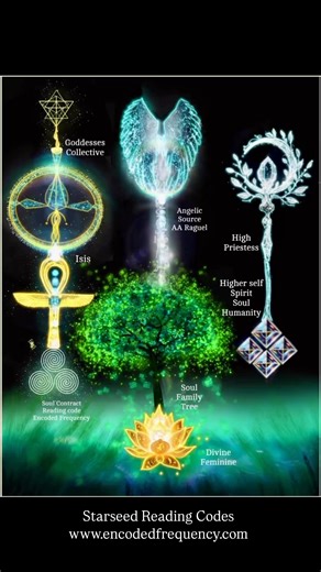 2.1K views · 78 reactions | How to Use a light code? Incorporate this...