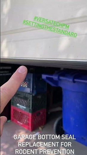 Keep Rodents Out of Your Garage | Rodent Prevention & Control | LA County | Versa Tech PM